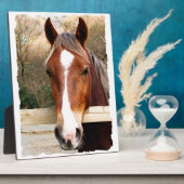 CHESTNUT HORSE FOTOPLATTE (Seite)