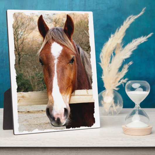 CHESTNUT HORSE FOTOPLATTE (Seite)