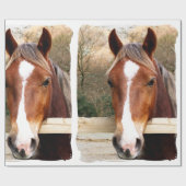 CHESTNUT HORSE GESCHENKPAPIER (Flach)