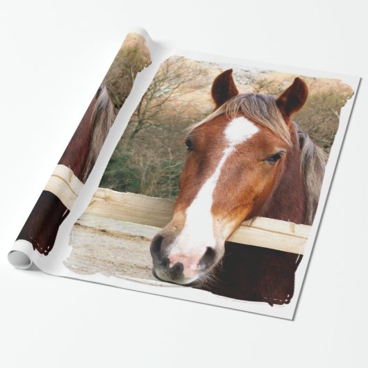 CHESTNUT HORSE GESCHENKPAPIER (Ungerollt)