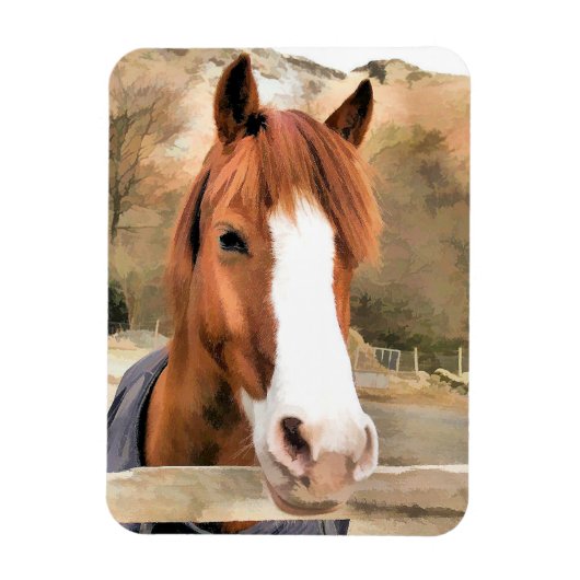 CHESTNUT HORSE MAGNET (Vertikal)