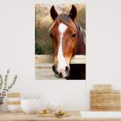 CHESTNUT HORSE POSTER (Küche)