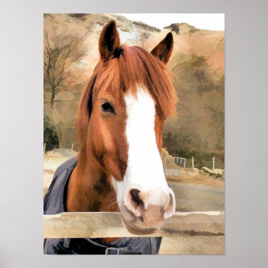 CHESTNUT HORSE POSTER (Vorne)