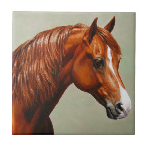 Chestnut Morgan Horse Fliese