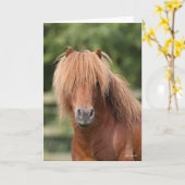 Chestnut Shetland Pony Stallion headshot Karte (Gelbe Blume)