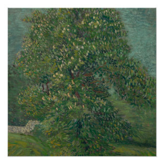 chestnut tree in bloom  poster