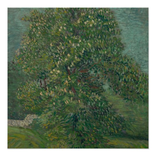 chestnut tree in bloom  poster (Vorderseite)