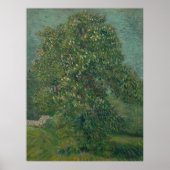 chestnut tree in bloom  poster (Vorne)