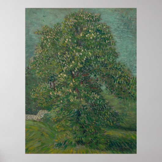 chestnut tree in bloom  poster (Vorne)