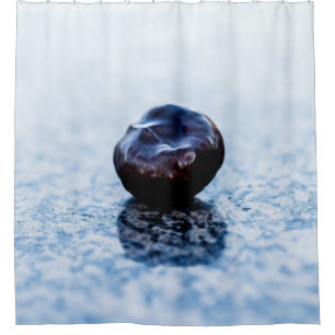 Chestnut Zen Duschvorhang