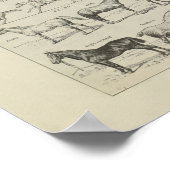 Cheval Anatomie Aplombs Squelette Horse Anatomie Poster (Ecke)