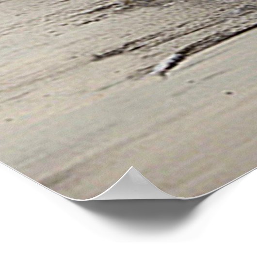 Cheval dans les vague, Papier Poster (matt) (Ecke)