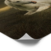 Cheval et enfant poster (Ecke)