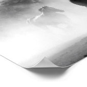 Chevaux noir et blanc poster (Ecke)