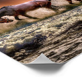 Chevaux Poster (Ecke)