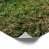 Chevelle SS Poster (Ecke)