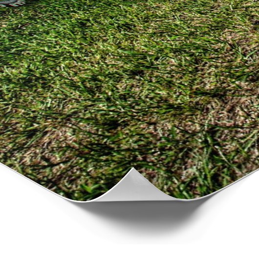 Chevelle SS Poster (Ecke)