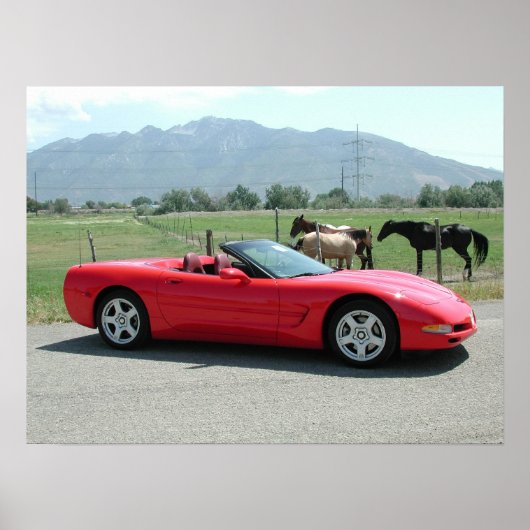 Chevrolet Corvette Convertible C5 Poster (Vorne)