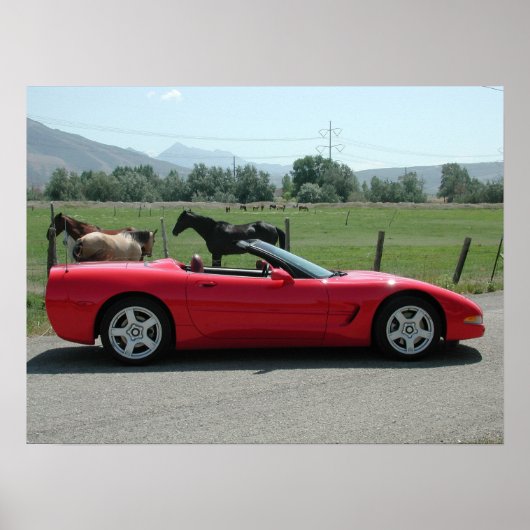 Chevrolet Corvette Convertible C5 Poster (Vorne)