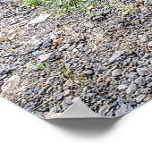 CHEVROLET FLATBED TRUCK 1946 POSTER (Ecke)