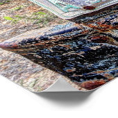 CHEVROLET LKW 1946 POSTER (Ecke)