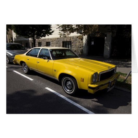 Chevrolet Malibu Classic (Vorderseite (Horizontal))