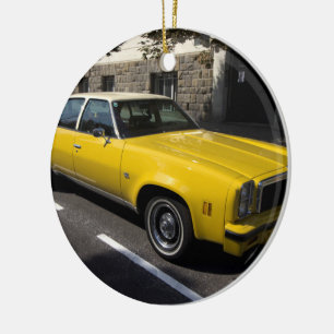 Chevrolet Malibu Classic Keramikornament