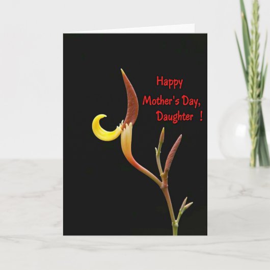 Chevron Botanische Mütter Karte (Vorderseite)