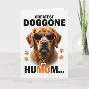 Chevron Cool Canine Portrait Karte