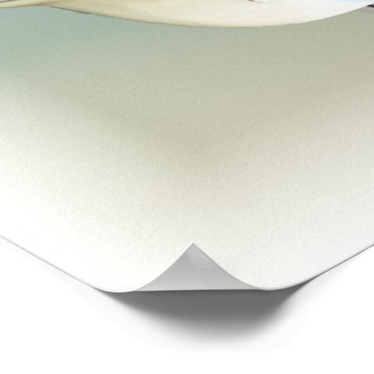 Chevy 1957 poster (Ecke)