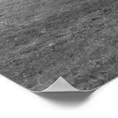 Chevy 3100 Lkw Poster (Ecke)