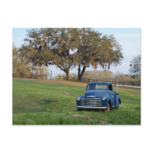 Chevy Lieferwagen LKW Altes Land Wiese Lieferwagen