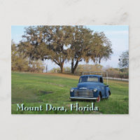 Chevy Lieferwagen Truck Mount Dora, Florida Countr