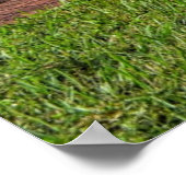 Chevy Nova Poster (Ecke)