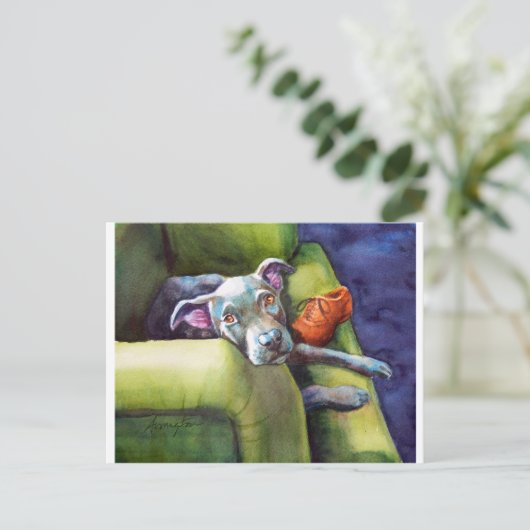 Chew Shoe, Terrier auf der Couch Postkarte (Stehend Vorderseite)