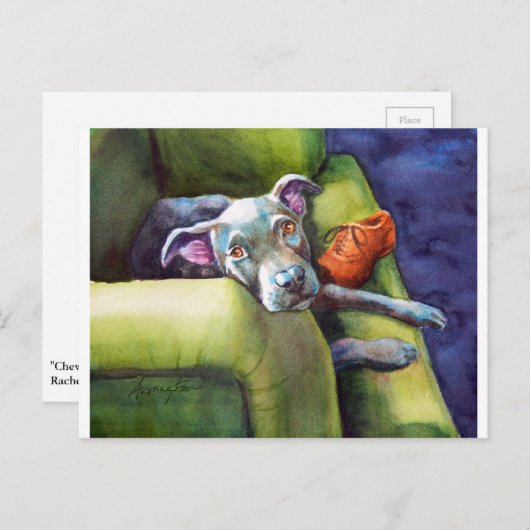 Chew Shoe, Terrier auf der Couch Postkarte (Vorne/Hinten)