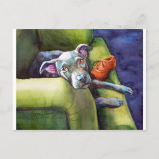 Chew Shoe, Terrier auf der Couch Postkarte