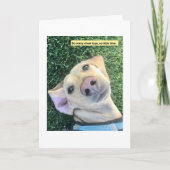 Chew Toys MillieGram Karte (Vorderseite)