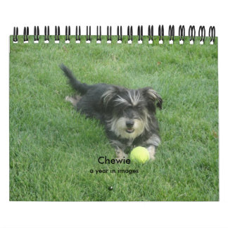 Chewie: Ein Jahr in den Bildern Kalender