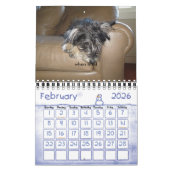 Chewie: Ein Jahr in den Bildern Kalender (Feb 2026)