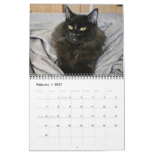 Chewie the Black Cat: 12 Monate Whiskers, Paws, Kalender (Feb 2027)