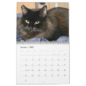 Chewie the Black Cat: 12 Monate Whiskers, Paws, Kalender (Jan 2027)