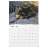 Chewie the Black Cat: 12 Monate Whiskers, Paws, Kalender (Mär 2027)