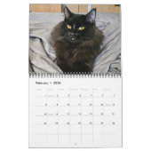 Chewie the Black Cat: 12 Monate Whiskers, Paws, Kalender (Feb 2026)