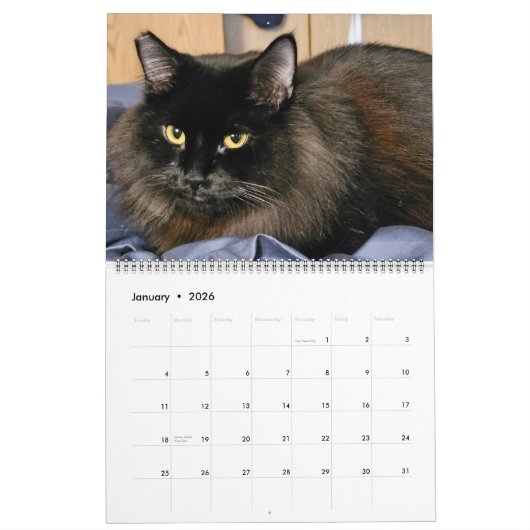 Chewie the Black Cat: 18 Months of Whiskers, Paws, Kalender (Jan 2026)