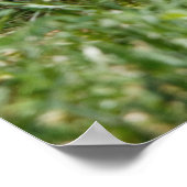 Chewing on it poster (Ecke)