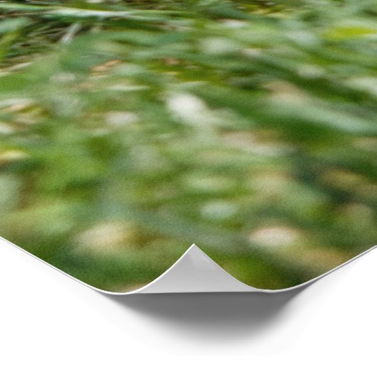 Chewing on it poster (Ecke)