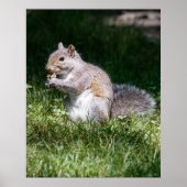 Chewing on it poster (Vorne)