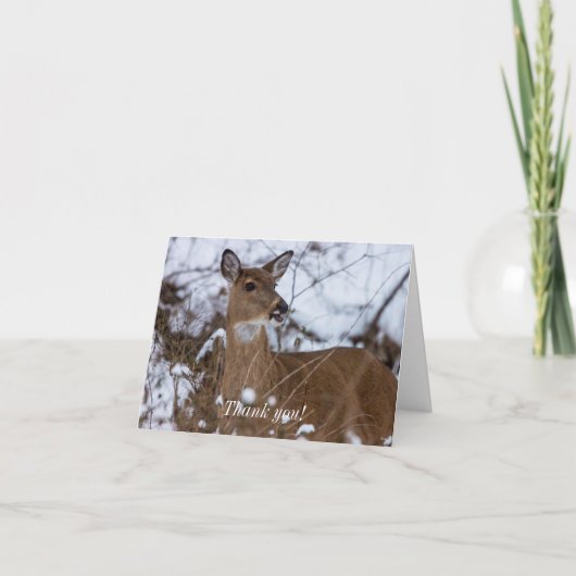 Chewwy Danke-Card Dankeskarte (Vorderseite)