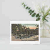 Cheyenne Canyon, Colorado - Stratton Park View Postkarte (Stehend Vorderseite)